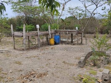 FINCA EN VENTA DE 1 HECTAREA