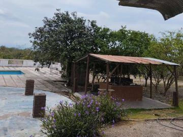 FINCA EN VENTA DE 1 HECTAREA