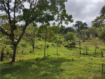 Finca en Venta , en la vía La Vega Sasaima Precio de oportunidad