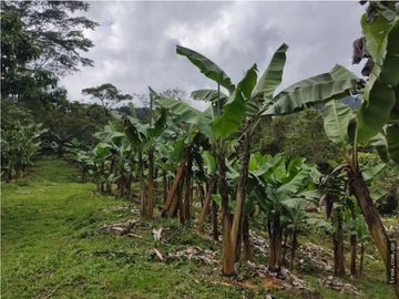 Finca en Venta , en la vía La Vega Sasaima Precio de oportunidad