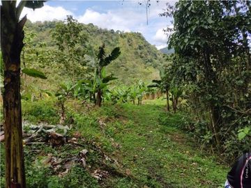 Finca en Venta , en la vía La Vega Sasaima Precio de oportunidad