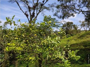 Finca en Venta , en la vía La Vega Sasaima Precio de oportunidad