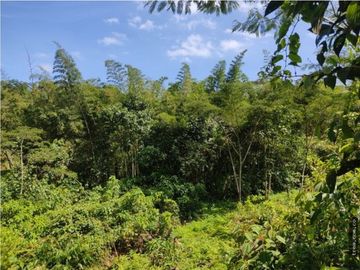Finca en Venta , en la vía La Vega Sasaima Precio de oportunidad