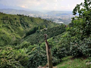FINCA EN VENTA EN LA VDA LA PALMA/DOSQUEBRADAS