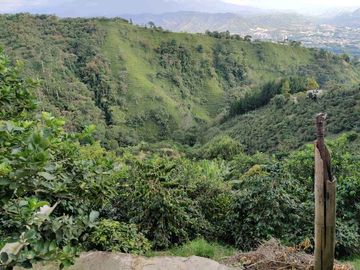 FINCA EN VENTA EN LA VDA LA PALMA/DOSQUEBRADAS