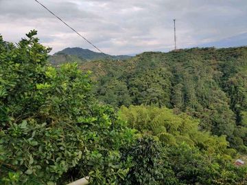 FINCA EN VENTA EN LA VDA LA PALMA/DOSQUEBRADAS