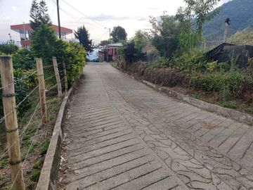 FINCA EN VENTA EN LA VDA LA PALMA/DOSQUEBRADAS