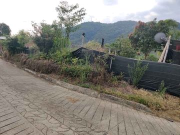 FINCA EN VENTA EN LA VDA LA PALMA/DOSQUEBRADAS