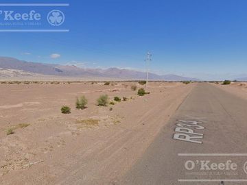 Campo en  venta 101 has Fiambala, Catamarca
