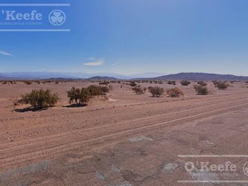 Campo en  venta 101 has Fiambala, Catamarca