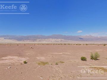 Campo en  venta 101 has Fiambala, Catamarca
