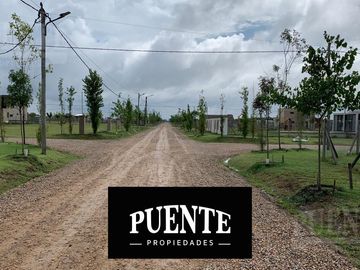 Estilo Campo