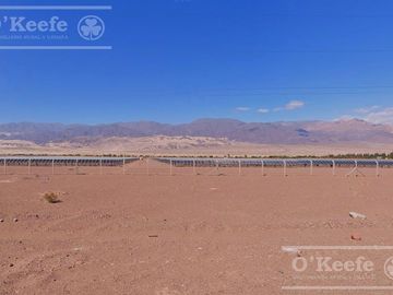 Campo 732  has en Venta Fiambala, Catamarca