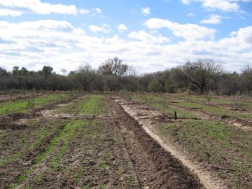 Terreno en Cruz Del Eje