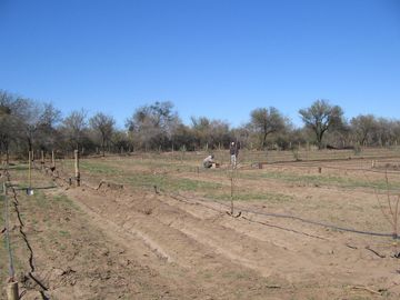 Terreno en Cruz Del Eje