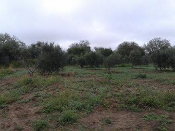 Terreno en Cruz Del Eje