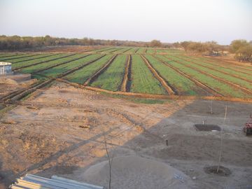 Terreno en Cruz Del Eje