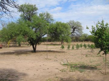 Terreno en Cruz Del Eje