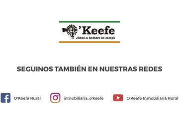 Chacra  en venta 10 has en Bragado  Ideal cria de caballos o fin de semana