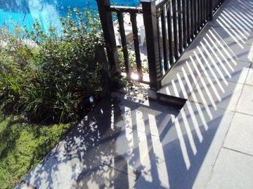 Casa  en Venta 5 dorm. 1 dorm en PB en La Isla, Nordelta, Tigre