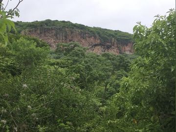 Excelente predio en Ex Hacienda La Providencia Celaya Guanajuato