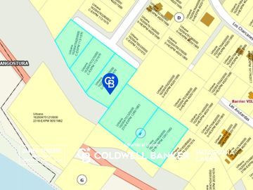 VENTA Lote/terreno ideal desarrollo 10.639,81m2 Vista plena al lago