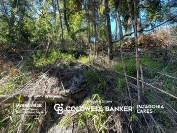 VENTA Lote/terreno ideal desarrollo 10.639,81m2 Vista plena al lago