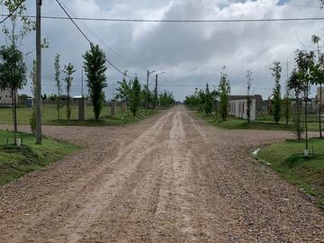 Estilo Campo