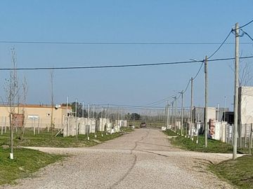 Estilo Campo