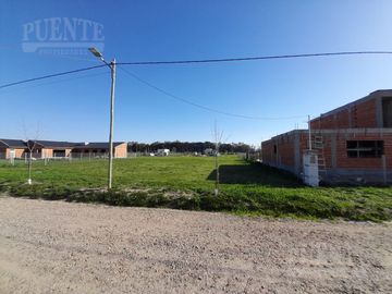 Estilo Campo