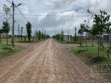Estilo Campo
