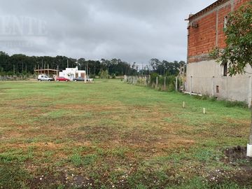Estilo Campo