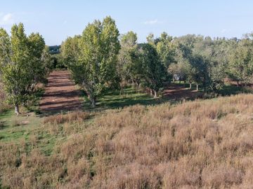 Chacra de 7 hectáreas en Lobos