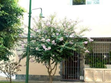Impecable PH en Esquina con excelente ubicación - Beccar - San Isidro