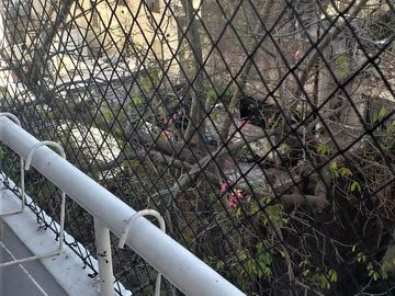 3 amb mas dependencias Barrio Norte - NO APTO PROFESIONAL