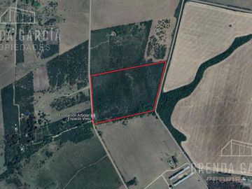 Campo de 13 hectáreas en Venta En Colon Entre Rios.
