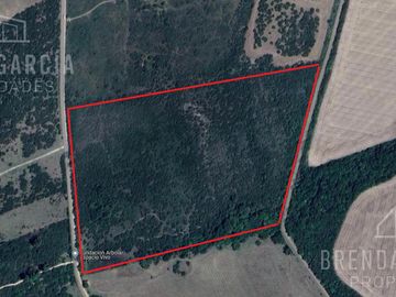 Campo de 13 hectáreas en Venta En Colon Entre Rios.