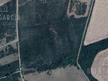 Campo de 13 hectáreas en Venta En Colon Entre Rios.