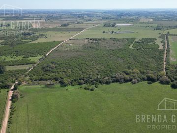 Campo de 13 hectáreas en Venta En Colon Entre Rios.