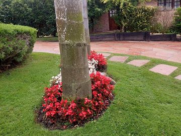 Casa en Retama al 700 - Pinamar