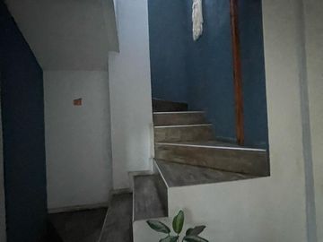 Casa - Wilde