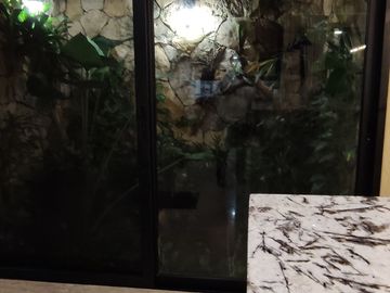 Casa  en Venta de una planta en Cholul