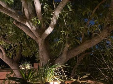 Renta de casa en el centro amueblada