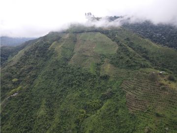 Finca certificada en venta sector Génova Quindío (120 Hectareas)