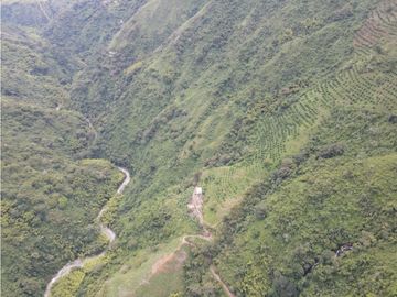 Finca certificada en venta sector Génova Quindío (120 Hectareas)