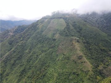 Finca certificada en venta sector Génova Quindío (120 Hectareas)