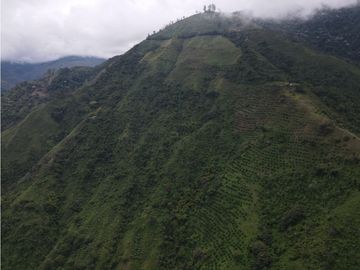 Finca certificada en venta sector Génova Quindío (120 Hectareas)