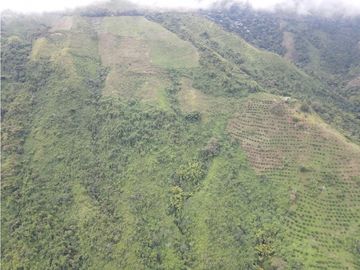 Finca certificada en venta sector Génova Quindío (120 Hectareas)