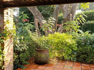 Casa en un nivel en venta en Rancho Cortés con 2155 de terreno y alberca