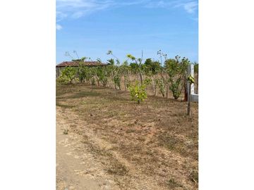 SE VENDE TERRENO EN POCR 1449 m² - LOS SANTOS